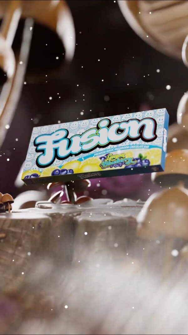 Fusion Lemon Blueberry Chocolate