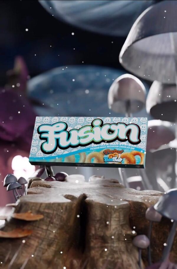 Fusion Pretzel Sea Salt Chocolate