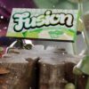 Fusion key Lime Pie chocolate